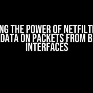 Unlocking the Power of Netfilter (nft): Metadata on Packets from Bridge Interfaces